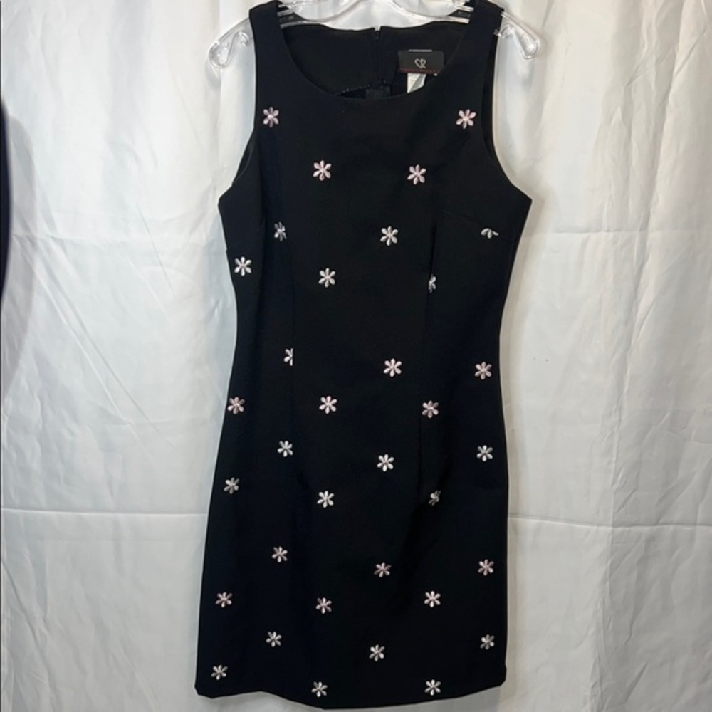 Black Embroidered Sleeveless Mini Dress